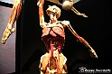 VBS_2816 - Mostra Body Worlds
